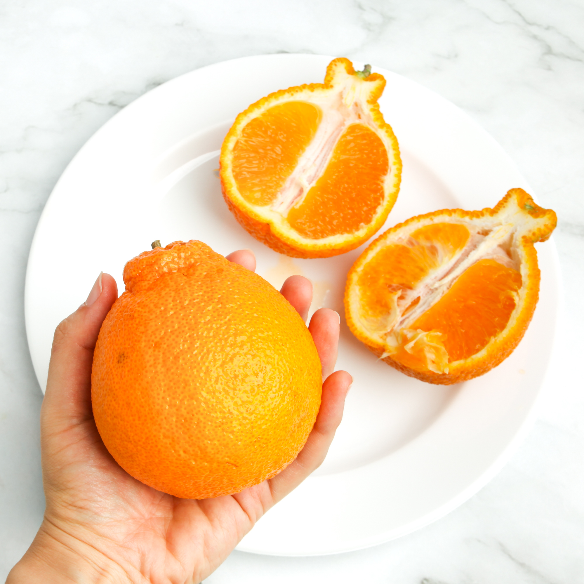 Fresh Sumo Citrus Mandarin 